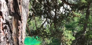 Settembre è il vero inizio Settembre è il vero inizio