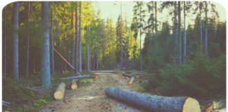 Fare spazio in quarantena: cosa ci serve davvero? Fare spazio in Quarantena