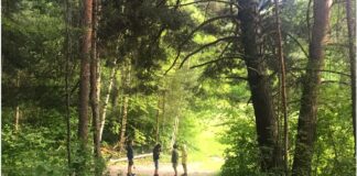 I Compiti dell’Estate dei Genitori Compiti Estate Genitori