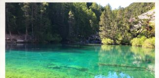 Piccoli camminatori si diventa