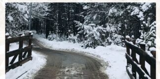 Tempo esclusivo per ogni figlio: è possibile? Tempo esclusivo per ogni figlio