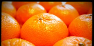 Come insegnare ai figli a riconoscere le fake news?