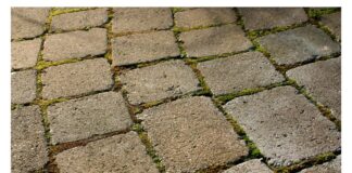 Litigare fa bene (la verifica del metodo) Litigare fa bene