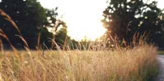 Educazione Digitale tra dialogo e confronto Educazione Digitale tra dialogo e confronto