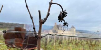 Viaggiare con i bambini: 5 consigli pratici