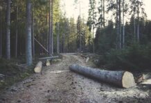 Conta più il traguardo o il percorso?