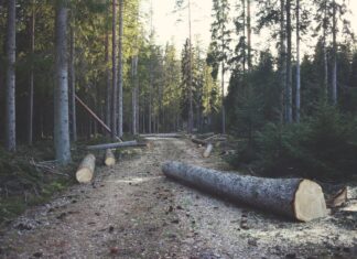 Conta più il traguardo o il percorso?