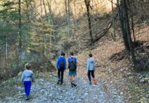 Favorire le alternative